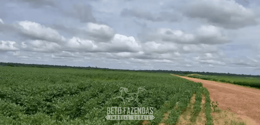 Fazenda à Venda 23.000 hectares Lavoura, Pecuária e Credito de Carbono | Paragominas/PA