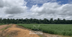 Fazenda à Venda 23.000 hectares Lavoura, Pecuária e Credito de Carbono | Paragominas/PA