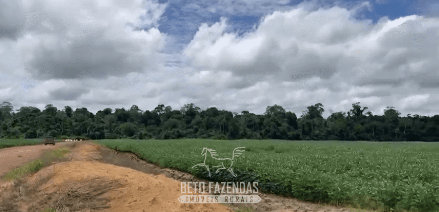 Fazenda à Venda 23.000 hectares Lavoura, Pecuária e Credito de Carbono | Paragominas/PA