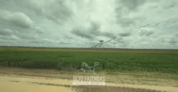 Fazenda à Venda 23.000 hectares Lavoura, Pecuária e Credito de Carbono | Paragominas/PA