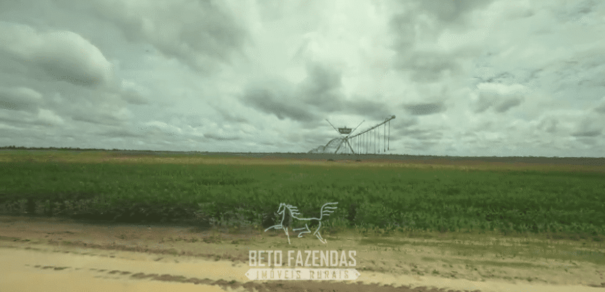 Fazenda à Venda 23.000 hectares Lavoura, Pecuária e Credito de Carbono | Paragominas/PA
