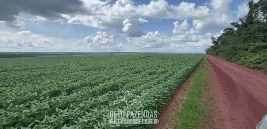 Fazenda à Venda 23.000 hectares Lavoura, Pecuária e Credito de Carbono | Paragominas/PA