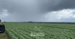 Fazenda à Venda 23.000 hectares Lavoura, Pecuária e Credito de Carbono | Paragominas/PA