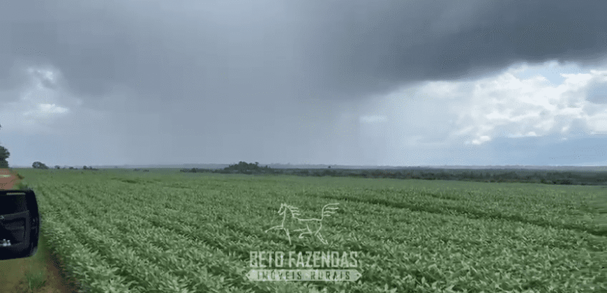 Fazenda à Venda 23.000 hectares Lavoura, Pecuária e Credito de Carbono | Paragominas/PA