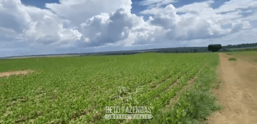 Fazenda à Venda 23.000 hectares Lavoura, Pecuária e Credito de Carbono | Paragominas/PA