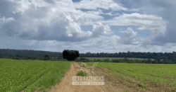 Fazenda à Venda 23.000 hectares Lavoura, Pecuária e Credito de Carbono | Paragominas/PA