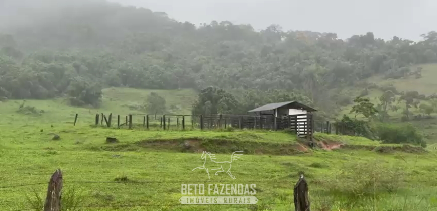Fazenda à Venda 30 alqueires para Pecuária e Investimento | Silva Jardim/RJ