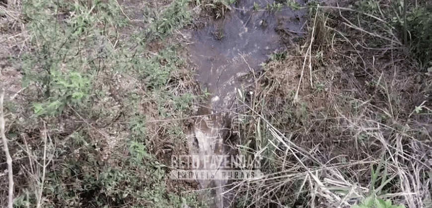 Fazenda à Venda 1.700 Hectares para Café e Eucalípto com muita Água | Divisa Alegre / MG Fazenda à Venda 1.700 Hectares para Café e Eucalípto com muita Água | Divisa Alegre / MG