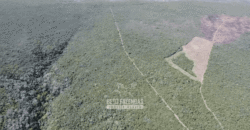 Fazenda à Venda 1.700 Hectares para Café e Eucalípto com muita Água | Divisa Alegre / MG Fazenda à Venda 1.700 Hectares para Café e Eucalípto com muita Água | Divisa Alegre / MG