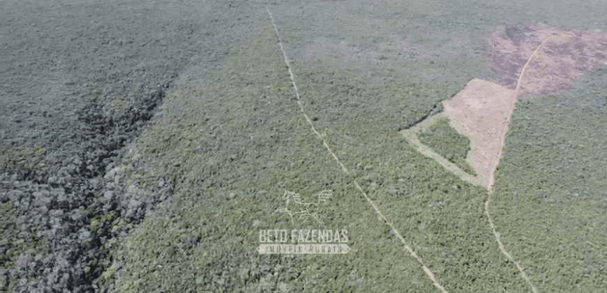 Fazenda à Venda 1.700 Hectares para Café e Eucalípto com muita Água | Divisa Alegre / MG Fazenda à Venda 1.700 Hectares para Café e Eucalípto com muita Água | Divisa Alegre / MG