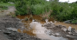 Fazenda à Venda 1.700 Hectares para Café e Eucalípto com muita Água | Divisa Alegre / MG Fazenda à Venda 1.700 Hectares para Café e Eucalípto com muita Água | Divisa Alegre / MG