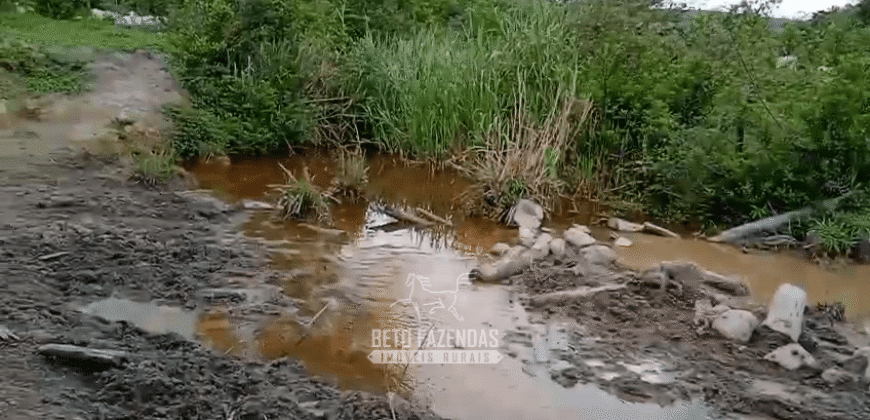 Fazenda à Venda 1.700 Hectares para Café e Eucalípto com muita Água | Divisa Alegre / MG Fazenda à Venda 1.700 Hectares para Café e Eucalípto com muita Água | Divisa Alegre / MG