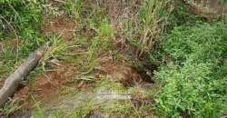 Fazenda à Venda 1.700 Hectares para Café e Eucalípto com muita Água | Divisa Alegre / MG Fazenda à Venda 1.700 Hectares para Café e Eucalípto com muita Água | Divisa Alegre / MG