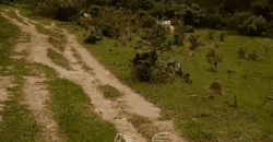 Fazenda à Venda 1.700 Hectares para Café e Eucalípto com muita Água | Divisa Alegre / MG Fazenda à Venda 1.700 Hectares para Café e Eucalípto com muita Água | Divisa Alegre / MG