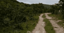 Fazenda à Venda 1.700 Hectares para Café e Eucalípto com muita Água | Divisa Alegre / MG Fazenda à Venda 1.700 Hectares para Café e Eucalípto com muita Água | Divisa Alegre / MG