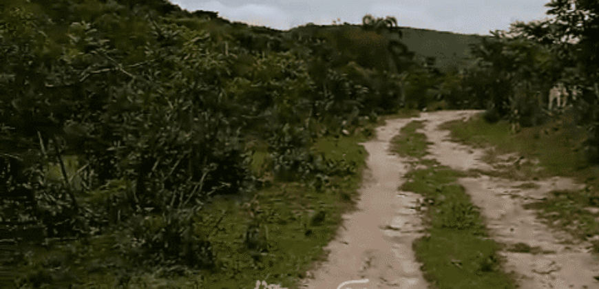 Fazenda à Venda 1.700 Hectares para Café e Eucalípto com muita Água | Divisa Alegre / MG Fazenda à Venda 1.700 Hectares para Café e Eucalípto com muita Água | Divisa Alegre / MG