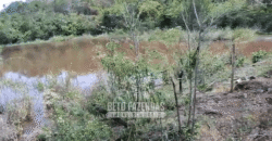 Fazenda à Venda 1.700 Hectares para Café e Eucalípto com muita Água | Divisa Alegre / MG Fazenda à Venda 1.700 Hectares para Café e Eucalípto com muita Água | Divisa Alegre / MG