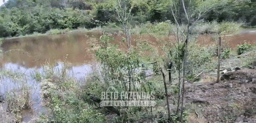 Fazenda à Venda 1.700 Hectares para Café e Eucalípto com muita Água | Divisa Alegre / MG Fazenda à Venda 1.700 Hectares para Café e Eucalípto com muita Água | Divisa Alegre / MG