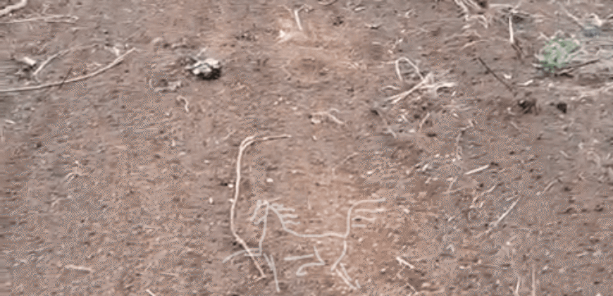 Fazenda à Venda 1.700 Hectares para Café e Eucalípto com muita Água | Divisa Alegre / MG Fazenda à Venda 1.700 Hectares para Café e Eucalípto com muita Água | Divisa Alegre / MG