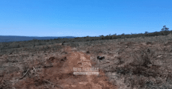 Fazenda à Venda 1.700 Hectares para Café e Eucalípto com muita Água | Divisa Alegre / MG Fazenda à Venda 1.700 Hectares para Café e Eucalípto com muita Água | Divisa Alegre / MG