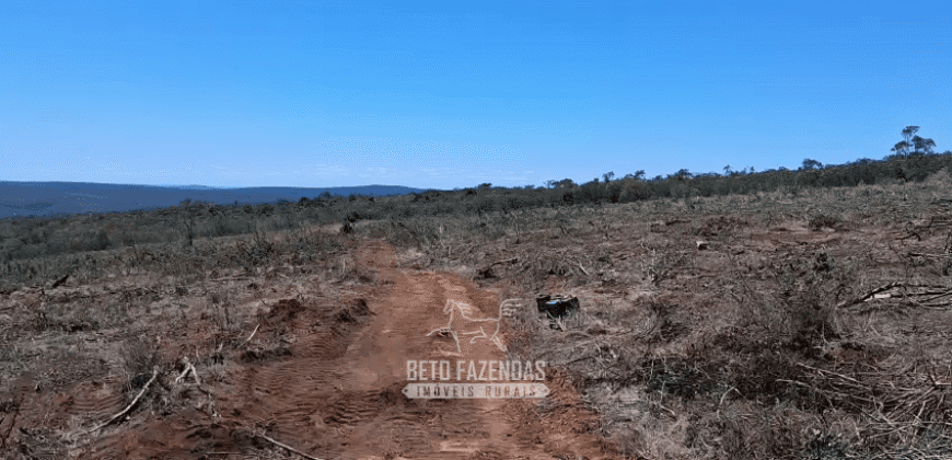 Fazenda à Venda 1.700 Hectares para Café e Eucalípto com muita Água | Divisa Alegre / MG Fazenda à Venda 1.700 Hectares para Café e Eucalípto com muita Água | Divisa Alegre / MG