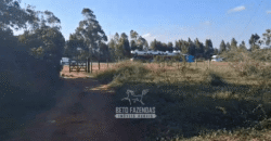 Fazenda à Venda 1.700 Hectares para Café e Eucalípto com muita Água | Divisa Alegre / MG Fazenda à Venda 1.700 Hectares para Café e Eucalípto com muita Água | Divisa Alegre / MG