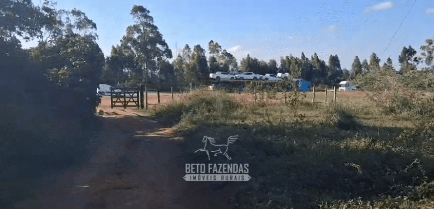 Fazenda à Venda 1.700 Hectares para Café e Eucalípto com muita Água | Divisa Alegre / MG Fazenda à Venda 1.700 Hectares para Café e Eucalípto com muita Água | Divisa Alegre / MG