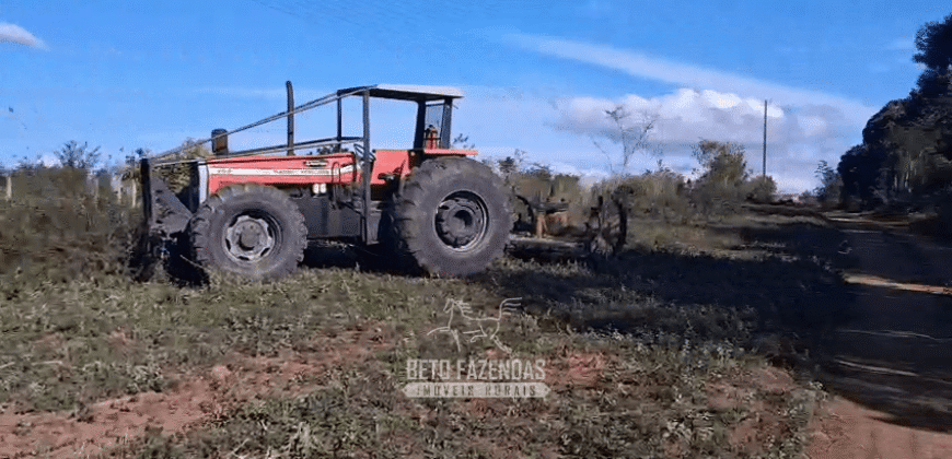 Fazenda à Venda 1.700 Hectares para Café e Eucalípto com muita Água | Divisa Alegre / MG Fazenda à Venda 1.700 Hectares para Café e Eucalípto com muita Água | Divisa Alegre / MG