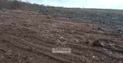 Fazenda à Venda 1.700 Hectares para Café e Eucalípto com muita Água | Divisa Alegre / MG Fazenda à Venda 1.700 Hectares para Café e Eucalípto com muita Água | Divisa Alegre / MG