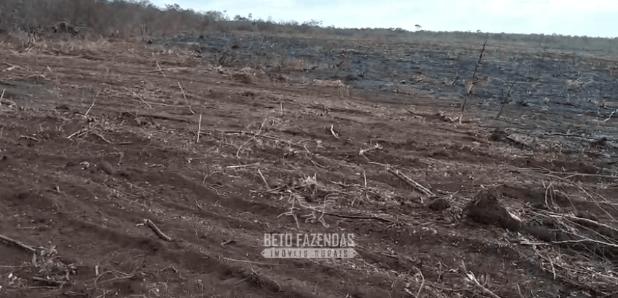 Fazenda à Venda 1.700 Hectares para Café e Eucalípto com muita Água | Divisa Alegre / MG Fazenda à Venda 1.700 Hectares para Café e Eucalípto com muita Água | Divisa Alegre / MG