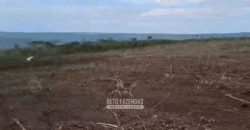 Fazenda à Venda 1.700 Hectares para Café e Eucalípto com muita Água | Divisa Alegre / MG Fazenda à Venda 1.700 Hectares para Café e Eucalípto com muita Água | Divisa Alegre / MG