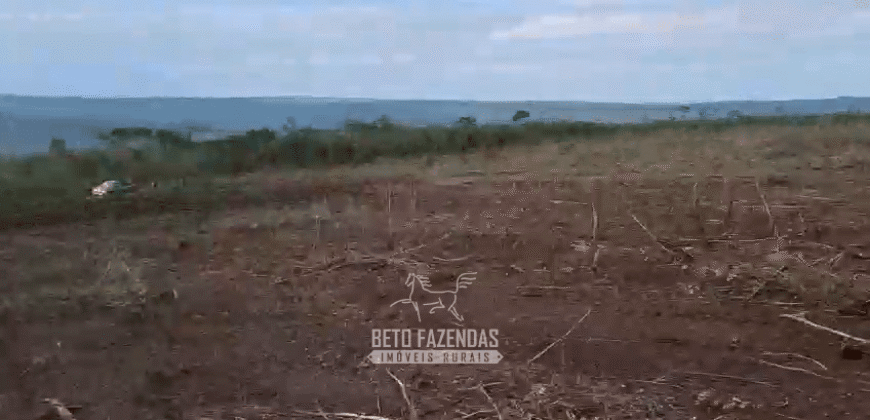 Fazenda à Venda 1.700 Hectares para Café e Eucalípto com muita Água | Divisa Alegre / MG Fazenda à Venda 1.700 Hectares para Café e Eucalípto com muita Água | Divisa Alegre / MG
