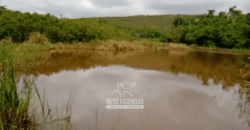 Fazenda à Venda 1.700 Hectares para Café e Eucalípto com muita Água | Divisa Alegre / MG Fazenda à Venda 1.700 Hectares para Café e Eucalípto com muita Água | Divisa Alegre / MG