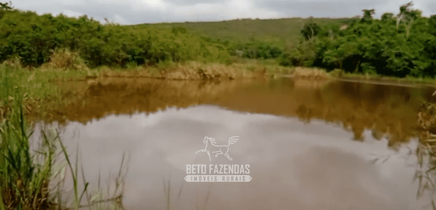 Fazenda à Venda 1.700 Hectares para Café e Eucalípto com muita Água | Divisa Alegre / MG Fazenda à Venda 1.700 Hectares para Café e Eucalípto com muita Água | Divisa Alegre / MG