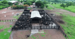 Fazenda à Venda 2.100 Hectares Dupla Aptidão com Pista de Pouso | Santana do Araguaia/ PA