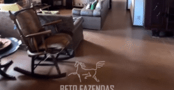 Espetucular Sítio com 28.210 m² Lazer Completo na Região Serrana do Rio | Teresópolis/ RJ