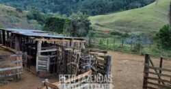 Fazenda à Venda 128 Alqueires Potencial para Pecuária | Laje do Muriaé/ RJ Fazenda à Venda 128 Alqueires Potencial para Pecuária | Laje do Muriaé/ RJ