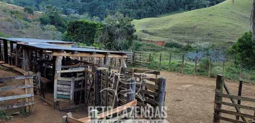 Fazenda à Venda 128 Alqueires Potencial para Pecuária | Laje do Muriaé/ RJ Fazenda à Venda 128 Alqueires Potencial para Pecuária | Laje do Muriaé/ RJ