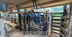 Fazenda à Venda 128 Alqueires Potencial para Pecuária | Laje do Muriaé/ RJ Fazenda à Venda 128 Alqueires Potencial para Pecuária | Laje do Muriaé/ RJ
