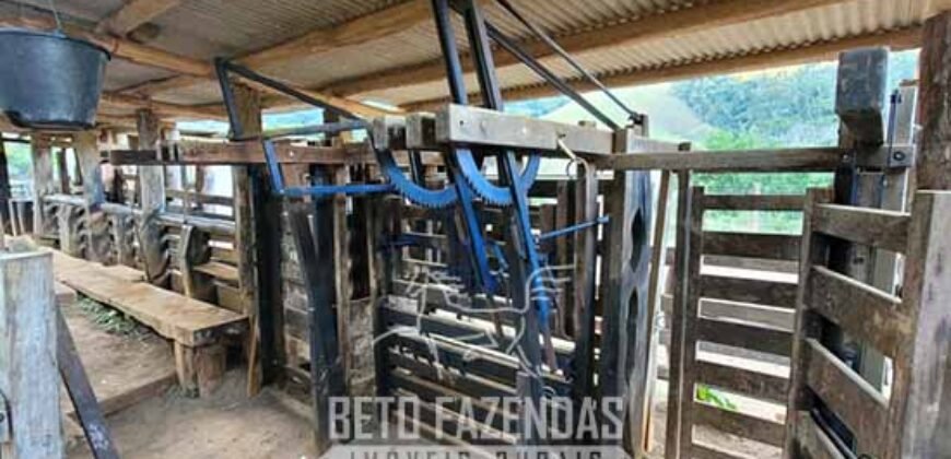 Fazenda à Venda 128 Alqueires Potencial para Pecuária | Laje do Muriaé/ RJ Fazenda à Venda 128 Alqueires Potencial para Pecuária | Laje do Muriaé/ RJ