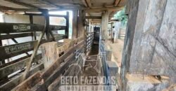 Fazenda à Venda 128 Alqueires Potencial para Pecuária | Laje do Muriaé/ RJ Fazenda à Venda 128 Alqueires Potencial para Pecuária | Laje do Muriaé/ RJ