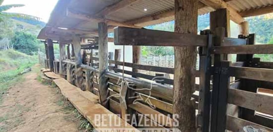 Fazenda à Venda 128 Alqueires Potencial para Pecuária | Laje do Muriaé/ RJ Fazenda à Venda 128 Alqueires Potencial para Pecuária | Laje do Muriaé/ RJ
