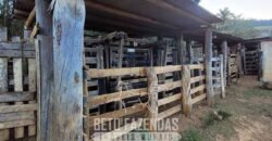 Fazenda à Venda 128 Alqueires Potencial para Pecuária | Laje do Muriaé/ RJ Fazenda à Venda 128 Alqueires Potencial para Pecuária | Laje do Muriaé/ RJ