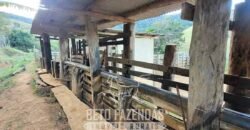 Fazenda à Venda 128 Alqueires Potencial para Pecuária | Laje do Muriaé/ RJ Fazenda à Venda 128 Alqueires Potencial para Pecuária | Laje do Muriaé/ RJ