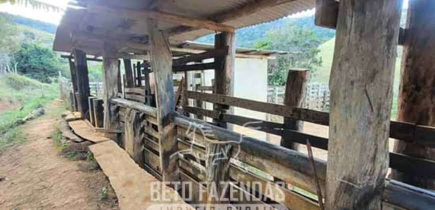 Fazenda à Venda 128 Alqueires Potencial para Pecuária | Laje do Muriaé/ RJ Fazenda à Venda 128 Alqueires Potencial para Pecuária | Laje do Muriaé/ RJ