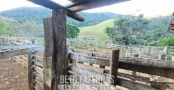 Fazenda à Venda 128 Alqueires Potencial para Pecuária | Laje do Muriaé/ RJ Fazenda à Venda 128 Alqueires Potencial para Pecuária | Laje do Muriaé/ RJ