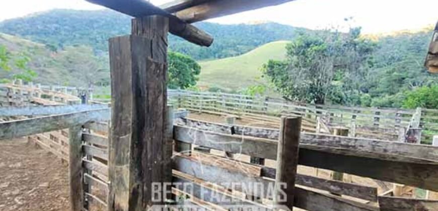 Fazenda à Venda 128 Alqueires Potencial para Pecuária | Laje do Muriaé/ RJ Fazenda à Venda 128 Alqueires Potencial para Pecuária | Laje do Muriaé/ RJ