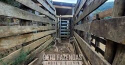 Fazenda à Venda 128 Alqueires Potencial para Pecuária | Laje do Muriaé/ RJ Fazenda à Venda 128 Alqueires Potencial para Pecuária | Laje do Muriaé/ RJ