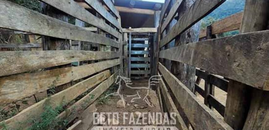 Fazenda à Venda 128 Alqueires Potencial para Pecuária | Laje do Muriaé/ RJ Fazenda à Venda 128 Alqueires Potencial para Pecuária | Laje do Muriaé/ RJ