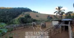 Fazenda à Venda 128 Alqueires Potencial para Pecuária | Laje do Muriaé/ RJ Fazenda à Venda 128 Alqueires Potencial para Pecuária | Laje do Muriaé/ RJ